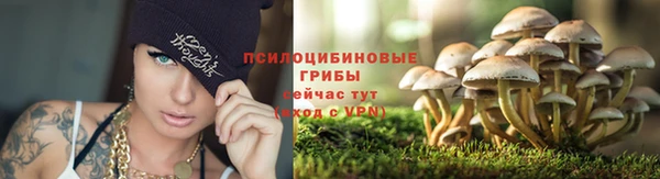 гидра Алексин