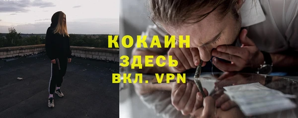 гидра Алексин