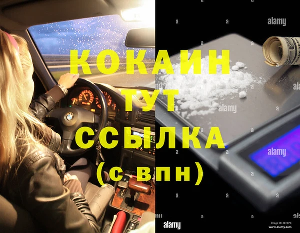 мяу мяу мука Алексеевка