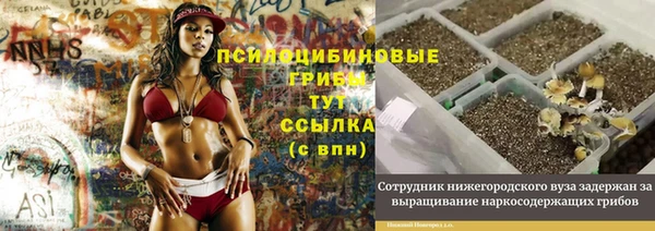 гидра Алексин