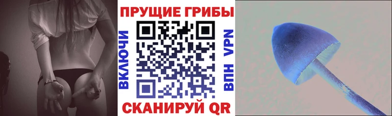 Галлюциногенные грибы Cubensis  ОМГ ОМГ маркетплейс  Энгельс 