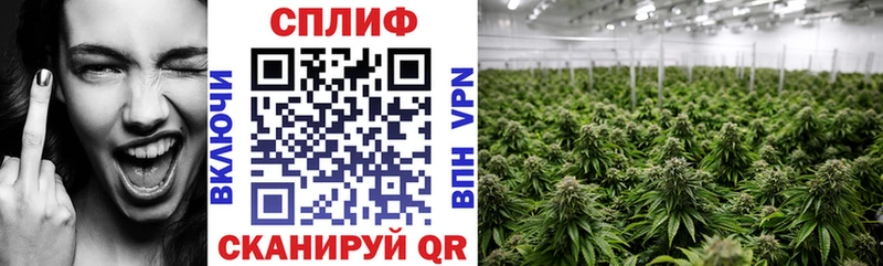 где можно купить   Энгельс  Канабис THC 21% 